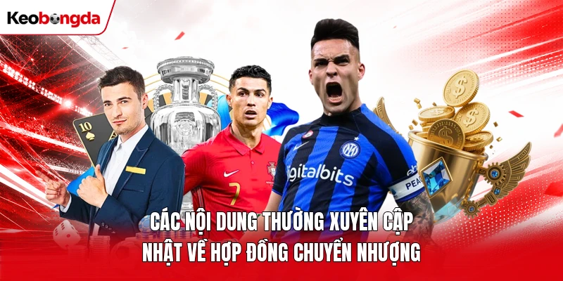 Các nội dung thường xuyên cập nhật về hợp đồng chuyển nhượng
