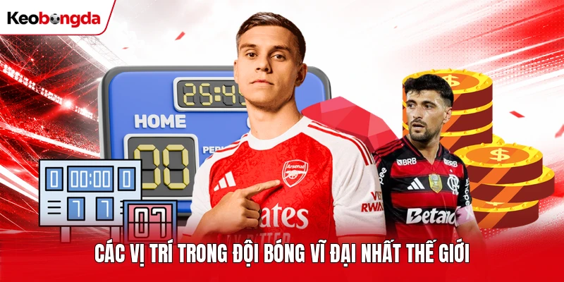 Các vị trí trong đội bóng vĩ đại nhất thế giới