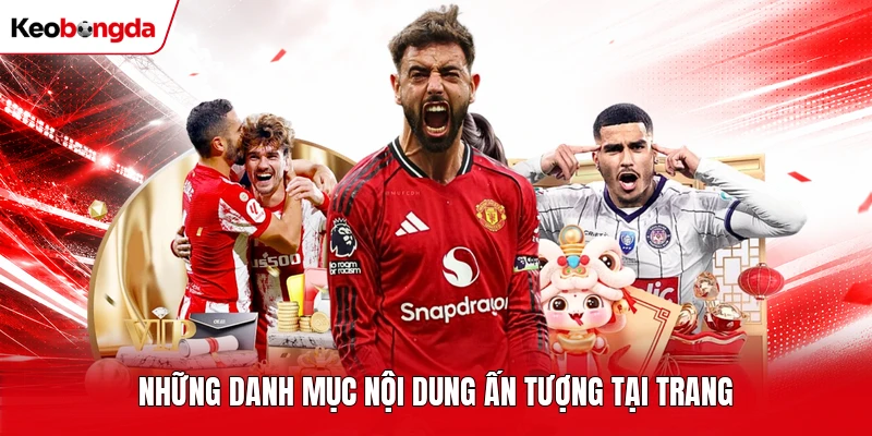 Những danh mục nội dung ấn tượng tại trang