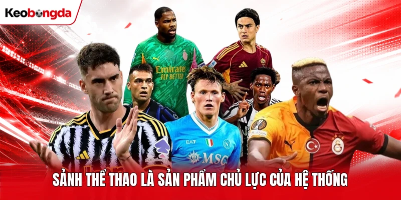 Sảnh thể thao là sản phẩm chủ lực của hệ thống